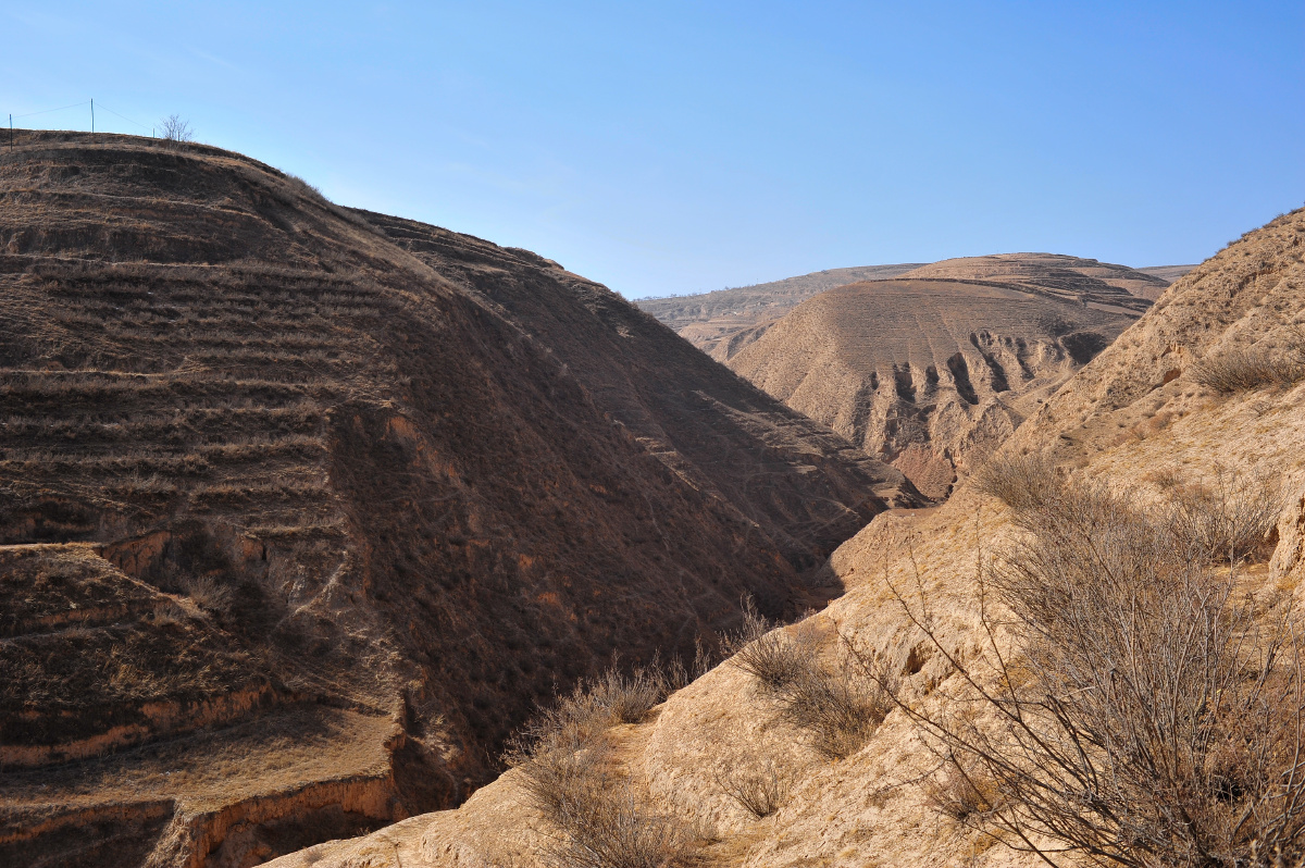 光秃秃的山 br /> 记忆中每年都是冬季回家,那山都是光秃秃的,很荒凉!