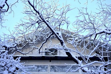 _7NB3040_调整大小_调整大小.JPG