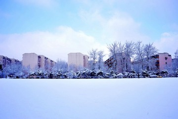_7NB3058_调整大小_调整大小.JPG