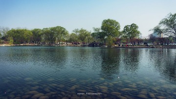 DSC03181-1.jpg