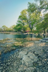 DSC03194-编辑-编辑.jpg