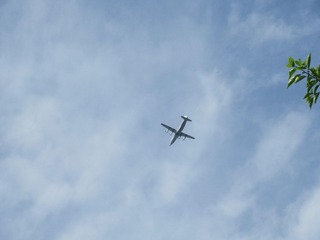 123584