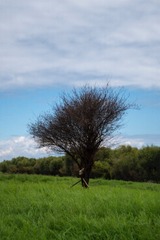 2DF3AF34-E6EF-44E5-8AFF-37A7641F0530/L0/001