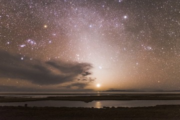 _CAO2513