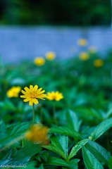 PICT0140.jpg