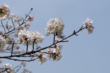 IMGP0094.JPG