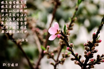 IMG_0248_副本.jpg