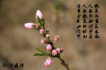 IMG_0249_副本.jpg