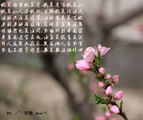 IMG_0307_副本.jpg