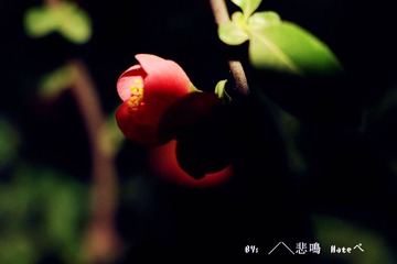 IMG_0332_副本.jpg