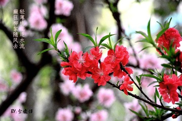 IMG_0566.JPG