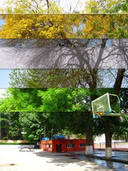11111.jpg