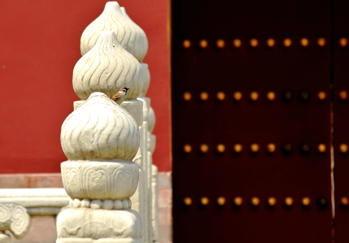 宫府新雀 - 人文, 小品 - 老拾 - 图虫摄影网