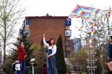 DSC_3162_