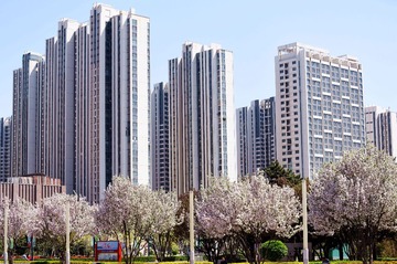 112_春天的城