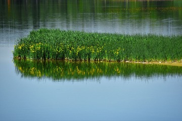 DSC_9859 (2)