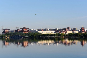 DSC_9941 (3)_