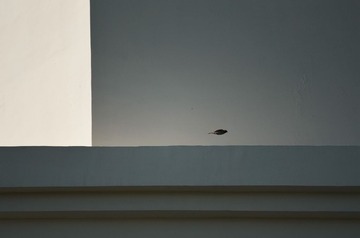 DSC_0086 (4)_