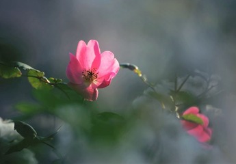 DSC_0969_20160513_099___HZP