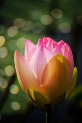 DSC_5985_20160618_3335 (4)_
