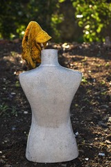 DSC_6784_20160624_3867 (2)