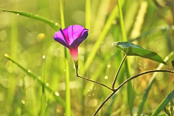 DSC_6763_20160624_3850 (4)