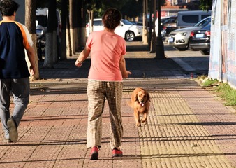 DSC_6855_20160624_3884 (2)