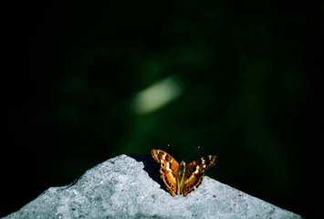 DSC_6300_20160831_10631_湖边