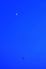 DSC_9930_20160709_6240 (2)
