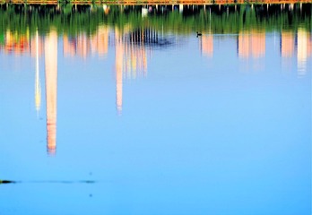 DSC_7231_20160625_4192 (2)
