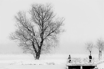 DSC_7467_20170222_21023 (2)__