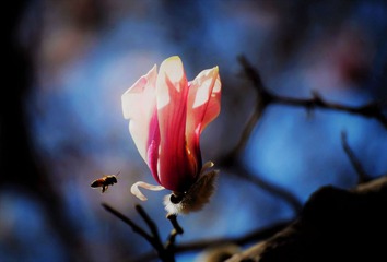 DSC_0743 (4)__HZP逐春_