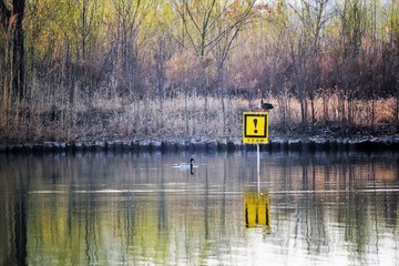DSC_5659_20170328_23275 (3)__