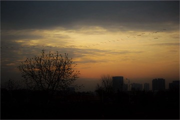 DSC_8828__启航
