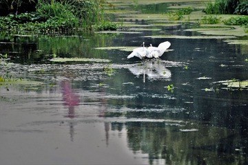 DSC_8308 (3)_