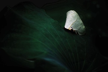 DSC_1026 (2)_