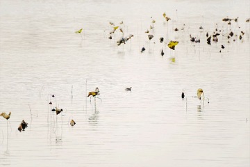 DSC_8663__edited