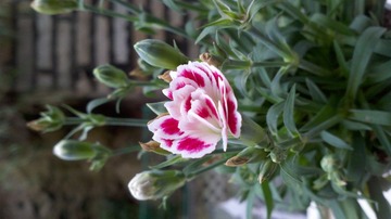 2012-04-28_09-07-53_875.jpg