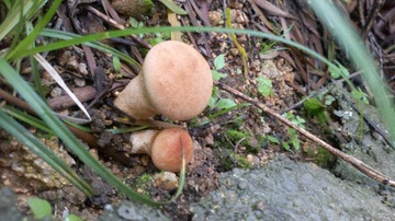 2012-04-29_18-21-11_585.jpg
