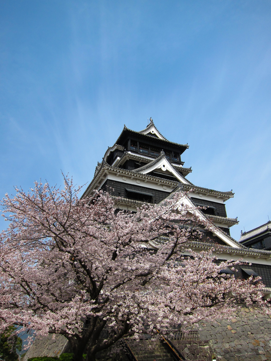 樱花熊本城