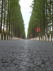 照片 016.jpg