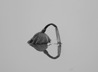 967274