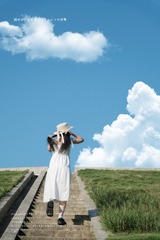 D8A4BC7B-5C5A-4645-ABF9-D83327E0F20D/L0/001