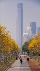 BFB35611-DBD5-4965-8A05-E140A016E503/L0/001