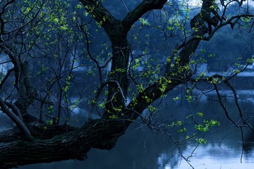 春临
