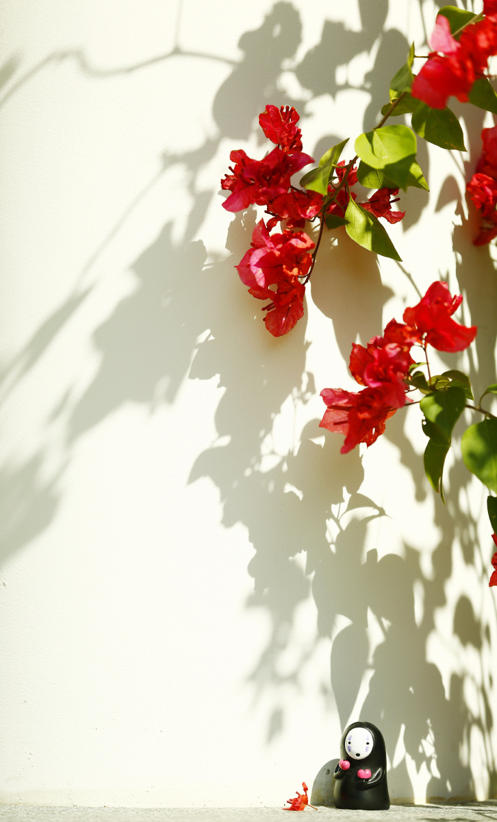 花开花落花无悔,缘来缘去缘如水。