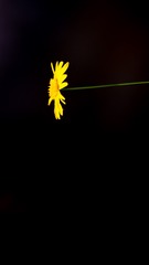 57669
