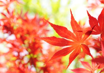 69-_DSC9333副本.jpg