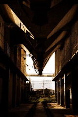 _DSC4052a