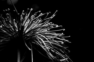 _DSC5274